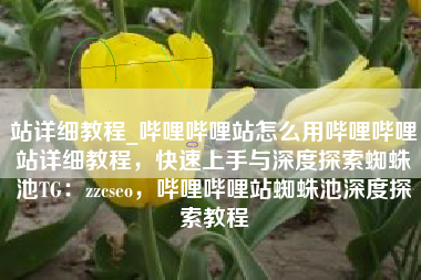 站详细教程_哔哩哔哩站怎么用哔哩哔哩站详细教程，快速上手与深度探索蜘蛛池TG：zzcseo，哔哩哔哩站蜘蛛池深度探索教程