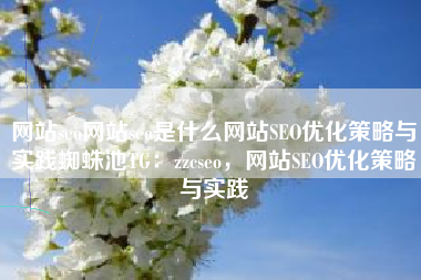 网站seo网站seo是什么网站SEO优化策略与实践蜘蛛池TG：zzcseo，网站SEO优化策略与实践