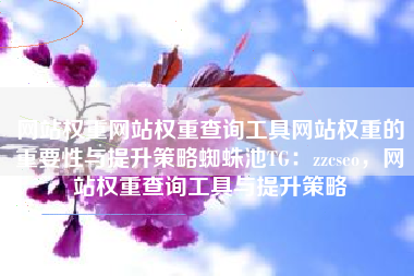 网站权重网站权重查询工具网站权重的重要性与提升策略蜘蛛池TG：zzcseo，网站权重查询工具与提升策略