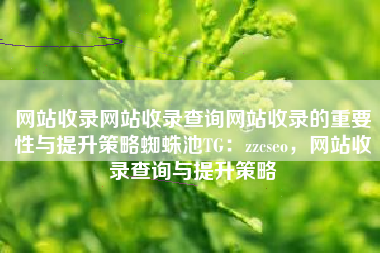 网站收录网站收录查询网站收录的重要性与提升策略蜘蛛池TG：zzcseo，网站收录查询与提升策略