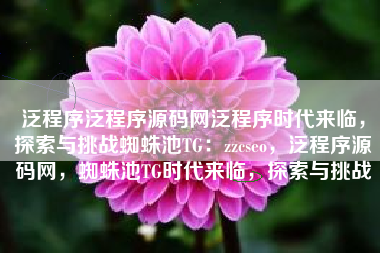 泛程序泛程序源码网泛程序时代来临，探索与挑战蜘蛛池TG：zzcseo，泛程序源码网，蜘蛛池TG时代来临，探索与挑战