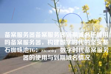 备案服务器备案服务器到期域名还能用吗备案服务器，构建数字时代的坚实基石蜘蛛池TG：zzcseo，数字时代备案服务器的使用与到期域名情况