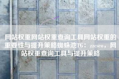 网站权重网站权重查询工具网站权重的重要性与提升策略蜘蛛池TG：zzcseo，网站权重查询工具与提升策略