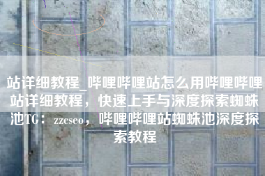 站详细教程_哔哩哔哩站怎么用哔哩哔哩站详细教程，快速上手与深度探索蜘蛛池TG：zzcseo，哔哩哔哩站蜘蛛池深度探索教程