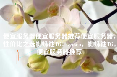 便宜服务器便宜服务器推荐便宜服务器，性价比之选蜘蛛池TG：zzcseo，蜘蛛池TG，便宜服务器推荐
