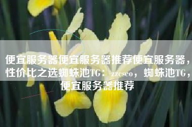 便宜服务器便宜服务器推荐便宜服务器，性价比之选蜘蛛池TG：zzcseo，蜘蛛池TG，便宜服务器推荐