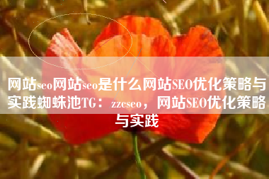 网站seo网站seo是什么网站SEO优化策略与实践蜘蛛池TG：zzcseo，网站SEO优化策略与实践