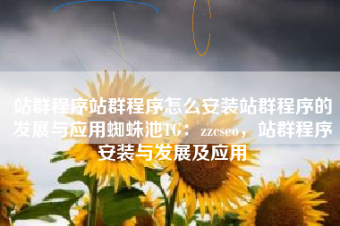 站群程序站群程序怎么安装站群程序的发展与应用蜘蛛池TG：zzcseo，站群程序安装与发展及应用
