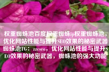 权重蜘蛛池百度权重蜘蛛ip权重蜘蛛池，优化网站性能与提升SEO效果的秘密武器蜘蛛池TG：zzcseo，优化网站性能与提升SEO效果的秘密武器，蜘蛛池的强大功能