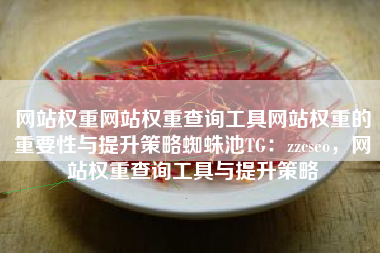 网站权重网站权重查询工具网站权重的重要性与提升策略蜘蛛池TG：zzcseo，网站权重查询工具与提升策略