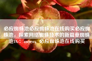 必应蜘蛛池必应蜘蛛池在线购买必应蜘蛛池，探索网络蜘蛛技术的新篇章蜘蛛池TG：zzcseo，必应蜘蛛池在线购买