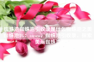 蜘蛛池蜘蛛池引收录是什么蜘蛛池之美蜘蛛池TG：zzcseo，蜘蛛池引收录，探索美丽蜘蛛池