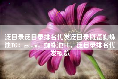 泛目录泛目录排名代发泛目录概览蜘蛛池TG：zzcseo，蜘蛛池TG，泛目录排名代发概览