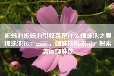 蜘蛛池蜘蛛池引收录是什么蜘蛛池之美蜘蛛池TG：zzcseo，蜘蛛池引收录，探索美丽蜘蛛池