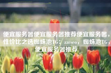 便宜服务器便宜服务器推荐便宜服务器，性价比之选蜘蛛池TG：zzcseo，蜘蛛池TG，便宜服务器推荐