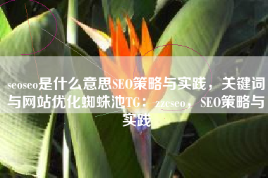 seoseo是什么意思SEO策略与实践，关键词与网站优化蜘蛛池TG：zzcseo，SEO策略与实践