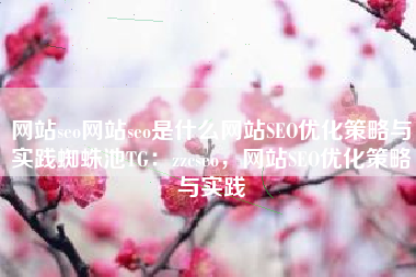 网站seo网站seo是什么网站SEO优化策略与实践蜘蛛池TG：zzcseo，网站SEO优化策略与实践