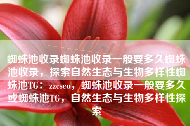 蜘蛛池收录蜘蛛池收录一般要多久蜘蛛池收录，探索自然生态与生物多样性蜘蛛池TG：zzcseo，蜘蛛池收录一般要多久或蜘蛛池TG，自然生态与生物多样性探索