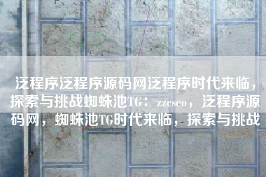 泛程序泛程序源码网泛程序时代来临，探索与挑战蜘蛛池TG：zzcseo，泛程序源码网，蜘蛛池TG时代来临，探索与挑战