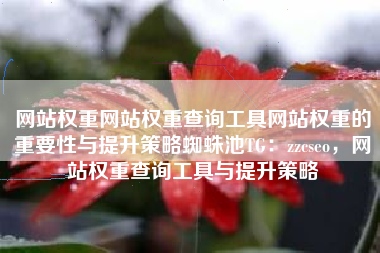 网站权重网站权重查询工具网站权重的重要性与提升策略蜘蛛池TG：zzcseo，网站权重查询工具与提升策略