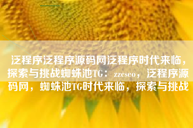 泛程序泛程序源码网泛程序时代来临，探索与挑战蜘蛛池TG：zzcseo，泛程序源码网，蜘蛛池TG时代来临，探索与挑战