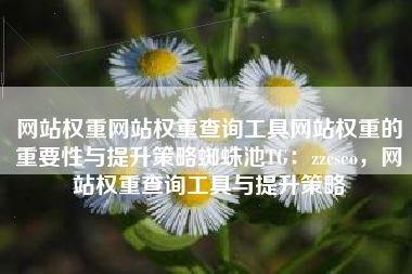 网站权重网站权重查询工具网站权重的重要性与提升策略蜘蛛池TG：zzcseo，网站权重查询工具与提升策略