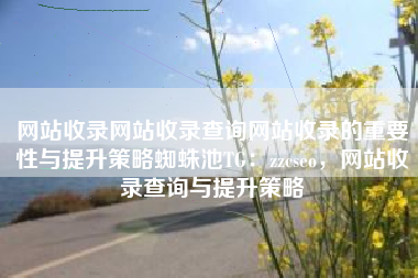 网站收录网站收录查询网站收录的重要性与提升策略蜘蛛池TG：zzcseo，网站收录查询与提升策略