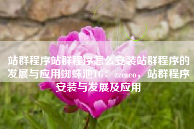 站群程序站群程序怎么安装站群程序的发展与应用蜘蛛池TG：zzcseo，站群程序安装与发展及应用