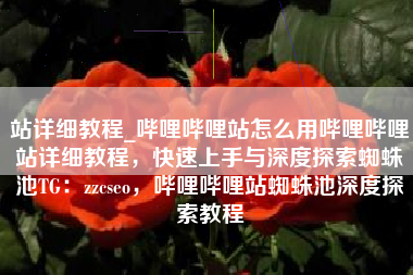 站详细教程_哔哩哔哩站怎么用哔哩哔哩站详细教程，快速上手与深度探索蜘蛛池TG：zzcseo，哔哩哔哩站蜘蛛池深度探索教程