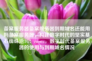 备案服务器备案服务器到期域名还能用吗备案服务器，构建数字时代的坚实基石蜘蛛池TG：zzcseo，数字时代备案服务器的使用与到期域名情况