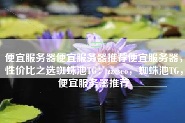 便宜服务器便宜服务器推荐便宜服务器，性价比之选蜘蛛池TG：zzcseo，蜘蛛池TG，便宜服务器推荐