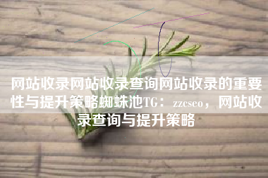 网站收录网站收录查询网站收录的重要性与提升策略蜘蛛池TG：zzcseo，网站收录查询与提升策略