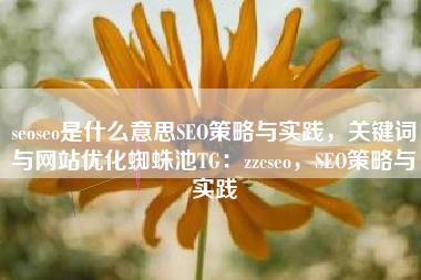 seoseo是什么意思SEO策略与实践，关键词与网站优化蜘蛛池TG：zzcseo，SEO策略与实践