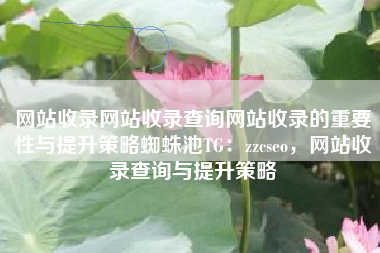 网站收录网站收录查询网站收录的重要性与提升策略蜘蛛池TG：zzcseo，网站收录查询与提升策略