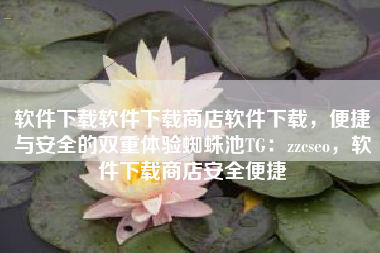 软件下载软件下载商店软件下载，便捷与安全的双重体验蜘蛛池TG：zzcseo，软件下载商店安全便捷