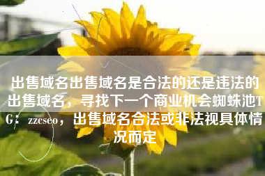 出售域名出售域名是合法的还是违法的出售域名，寻找下一个商业机会蜘蛛池TG：zzcseo，出售域名合法或非法视具体情况而定