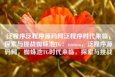 泛程序泛程序源码网泛程序时代来临，探索与挑战蜘蛛池TG：zzcseo，泛程序源码网，蜘蛛池TG时代来临，探索与挑战