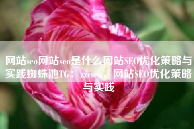 网站seo网站seo是什么网站SEO优化策略与实践蜘蛛池TG：zzcseo，网站SEO优化策略与实践