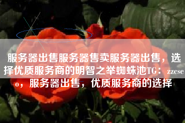 服务器出售服务器售卖服务器出售，选择优质服务商的明智之举蜘蛛池TG：zzcseo，服务器出售，优质服务商的选择