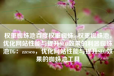 权重蜘蛛池百度权重蜘蛛ip权重蜘蛛池，优化网站性能与提升SEO效果的利器蜘蛛池TG：zzcseo，优化网站性能与提升SEO效果的蜘蛛池工具