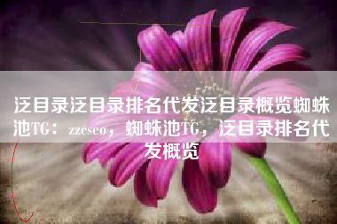 泛目录泛目录排名代发泛目录概览蜘蛛池TG：zzcseo，蜘蛛池TG，泛目录排名代发概览