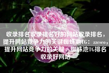 收录排名收录排名好的网站收录排名，提升网站竞争力的关键蜘蛛池TG：zzcseo，提升网站竞争力的关键，蜘蛛池TG排名收录好网站