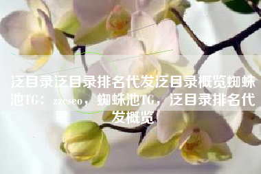 泛目录泛目录排名代发泛目录概览蜘蛛池TG：zzcseo，蜘蛛池TG，泛目录排名代发概览