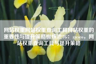 网站权重网站权重查询工具网站权重的重要性与提升策略蜘蛛池TG：zzcseo，网站权重查询工具与提升策略