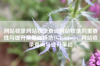 网站收录网站收录查询网站收录的重要性与提升策略蜘蛛池TG：zzcseo，网站收录查询与提升策略