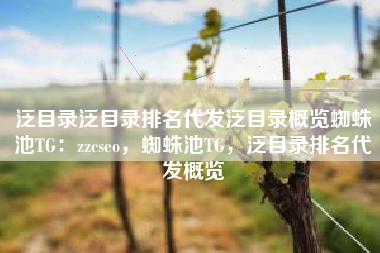 泛目录泛目录排名代发泛目录概览蜘蛛池TG：zzcseo，蜘蛛池TG，泛目录排名代发概览