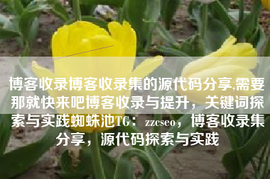 博客收录博客收录集的源代码分享,需要那就快来吧博客收录与提升，关键词探索与实践蜘蛛池TG：zzcseo，博客收录集分享，源代码探索与实践