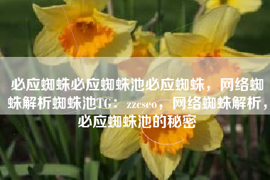 必应蜘蛛必应蜘蛛池必应蜘蛛，网络蜘蛛解析蜘蛛池TG：zzcseo，网络蜘蛛解析，必应蜘蛛池的秘密