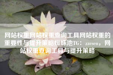 网站权重网站权重查询工具网站权重的重要性与提升策略蜘蛛池TG：zzcseo，网站权重查询工具与提升策略