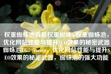 权重蜘蛛池百度权重蜘蛛ip权重蜘蛛池，优化网站性能与提升SEO效果的秘密武器蜘蛛池TG：zzcseo，优化网站性能与提升SEO效果的秘密武器，蜘蛛池的强大功能